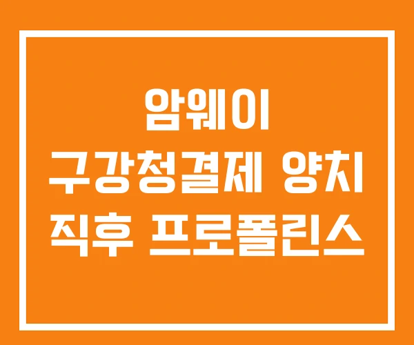 암웨이 구강청결제 양치 직후 프로폴린스