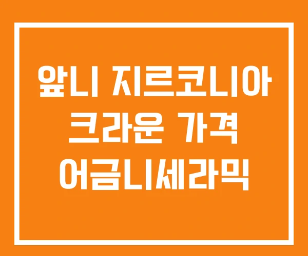 앞니 지르코니아 크라운 가격 어금니세라믹 앞니 지르코니아 크라운 가격 어금니세라믹
