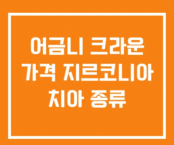 어금니 크라운 가격 지르코니아 치아 종류 어금니 크라운 가격 지르코니아 치아 종류