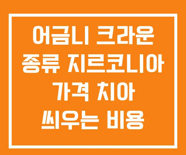 어금니 크라운 종류 지르코니아 가격 치아 씌우는 비용