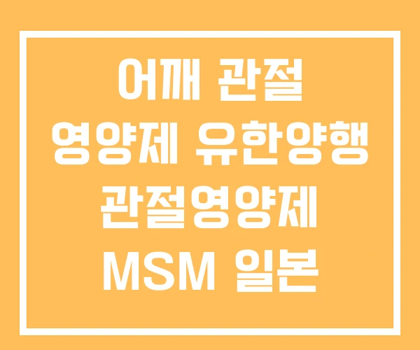 어깨 관절 영양제 유한양행 관절영양제 MSM 일본 어깨 관절 영양제 유한양행 관절영양제 MSM 일본