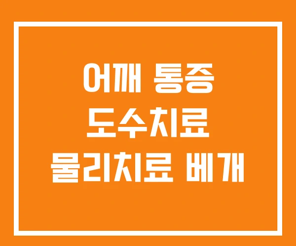 어깨 통증 도수치료 물리치료 베개 어깨 통증 도수치료 물리치료 베개