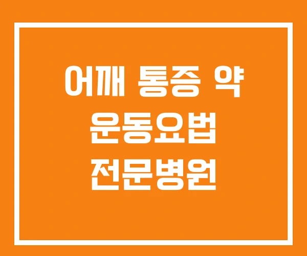 어깨 통증 약 운동요법 전문병원 어깨 통증 약 운동요법 전문병원