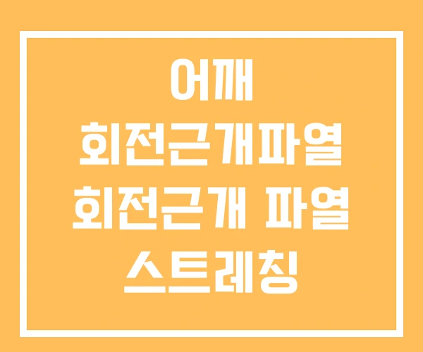 어깨 회전근개파열 회전근개 파열 스트레칭 어깨 회전근개파열 회전근개 파열 스트레칭