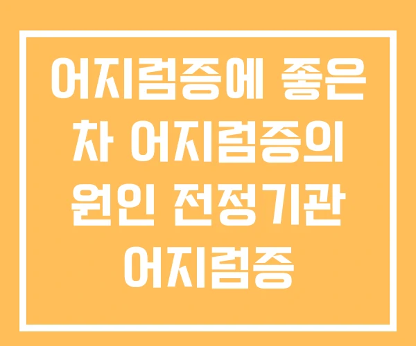 어지럼증에 좋은 차 어지럼증의 원인 전정기관 어지럼증 어지럼증에 좋은 차 어지럼증의 원인 전정기관 어지럼증
