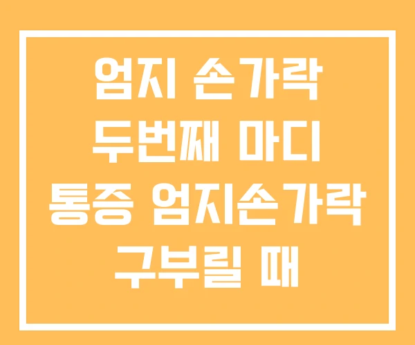 엄지 손가락 두번째 마디 통증 엄지손가락 구부릴 때 엄지 손가락 두번째 마디 통증 엄지손가락 구부릴 때