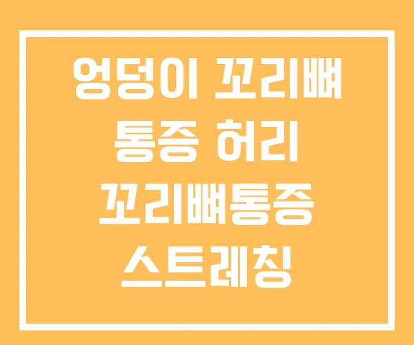엉덩이 꼬리뼈 통증 허리 꼬리뼈통증 스트레칭 허리디스크 엉덩이 꼬리뼈 통증 허리 꼬리뼈통증 스트레칭 허리디스크