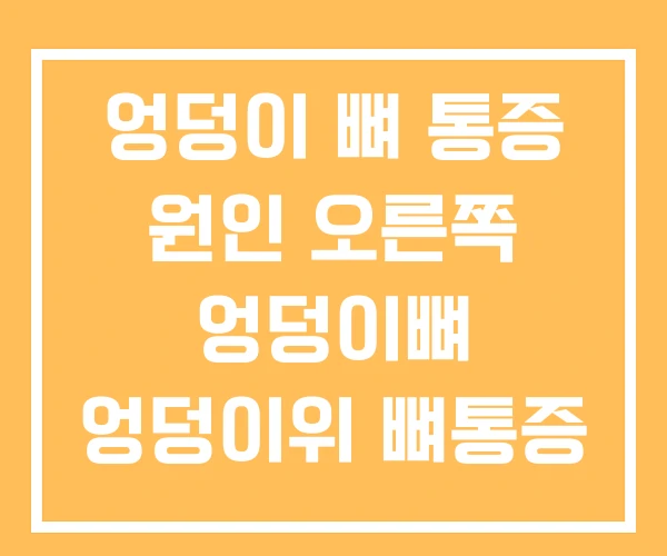 엉덩이 뼈 통증 원인 오른쪽 엉덩이뼈 엉덩이위 뼈통증 엉덩이 뼈 통증 원인 오른쪽 엉덩이뼈 엉덩이위 뼈통증