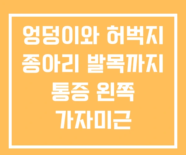 엉덩이와 허벅지 종아리 발목까지 통증 왼쪽 가자미근 엉덩이와 허벅지 종아리 발목까지 통증 왼쪽 가자미근