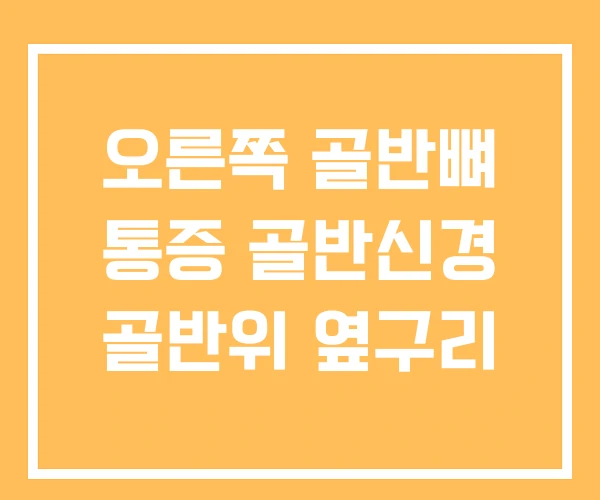오른쪽 골반뼈 통증 골반신경 골반위 옆구리 오른쪽 골반뼈 통증 골반신경 골반위 옆구리