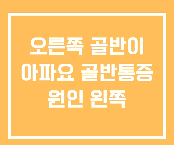 오른쪽 골반이 아파요 골반통증 원인 왼쪽