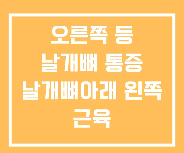 오른쪽 등 날개뼈 통증 날개뼈아래 왼쪽 근육 오른쪽 등 날개뼈 통증 날개뼈아래 왼쪽 근육