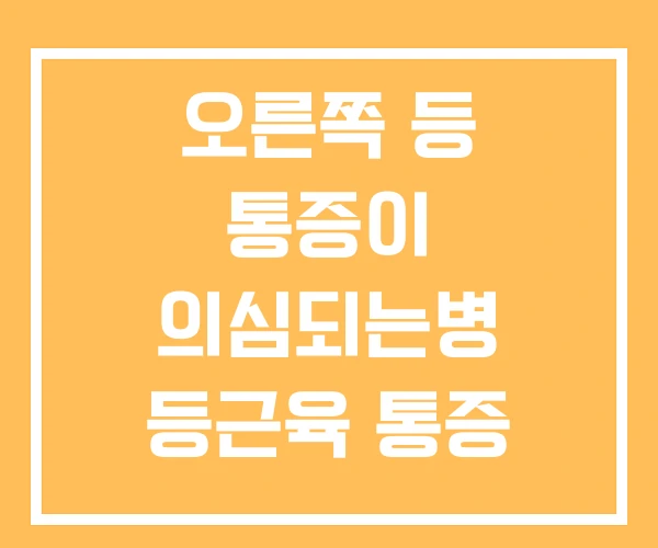 오른쪽 등 통증이 의심되는병 등근육 통증 복부등뒤 오른쪽 등 통증이 의심되는병 등근육 통증 복부등뒤