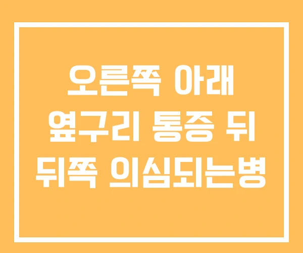 오른쪽 아래 옆구리 통증 뒤 뒤쪽 의심되는병 오른쪽 아래 옆구리 통증 뒤 뒤쪽 의심되는병
