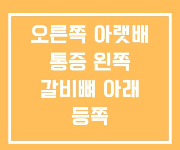 오른쪽 아랫배 통증 왼쪽 갈비뼈 아래 등쪽