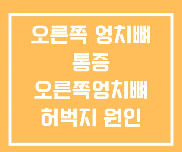 오른쪽 엉치뼈 통증 오른쪽엉치뼈 허벅지 원인 왼쪽 오른쪽 엉치뼈 통증 오른쪽엉치뼈 허벅지 원인 왼쪽