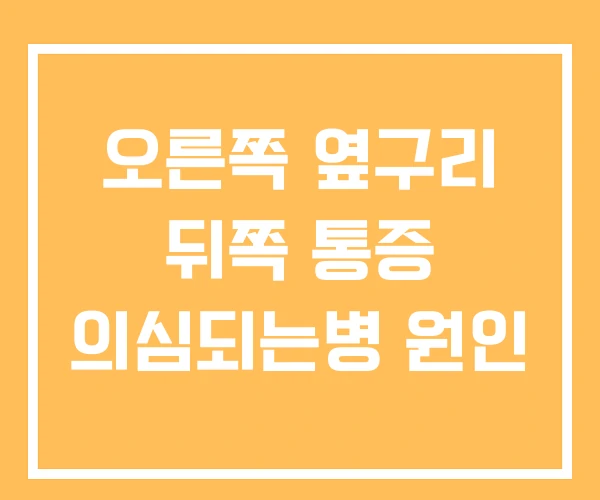 오른쪽 옆구리 뒤쪽 통증 의심되는병 원인