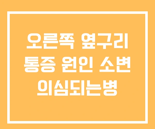 오른쪽 옆구리 통증 원인 소변 의심되는병 오른쪽 옆구리 통증 원인 소변 의심되는병