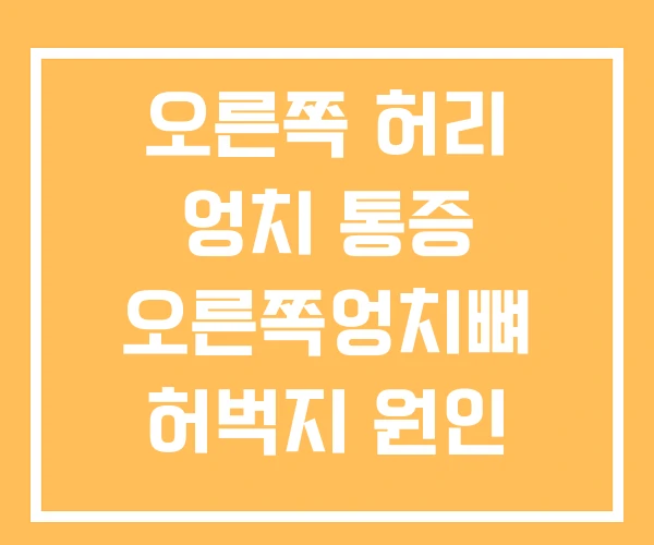 오른쪽 허리 엉치 통증 오른쪽엉치뼈 허벅지 원인 왼쪽 오른쪽 허리 엉치 통증 오른쪽엉치뼈 허벅지 원인 왼쪽