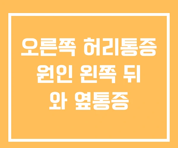 오른쪽 허리통증 원인 왼쪽 뒤 와 옆통증 오른쪽 허리통증 원인 왼쪽 뒤 와 옆통증