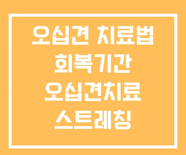 오십견 치료법 회복기간 오십견치료 스트레칭 오십견 치료법 회복기간 오십견치료 스트레칭