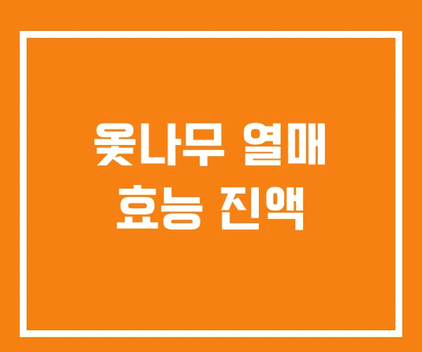 옻나무 열매 효능 진액 옻나무 열매 효능 진액