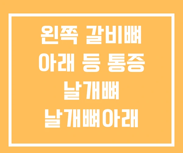 왼쪽 갈비뼈 아래 등 통증 날개뼈 날개뼈아래 왼쪽 갈비뼈 아래 등 통증 날개뼈 날개뼈아래