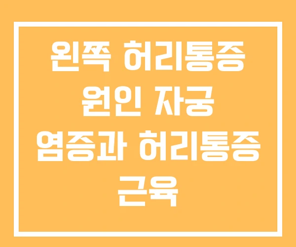 왼쪽 허리통증 원인 자궁 염증과 허리통증 근육