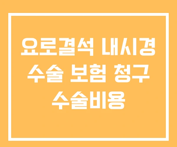 요로결석 내시경 수술 보험 청구 수술비용 요로결석 내시경 수술 보험 청구 수술비용