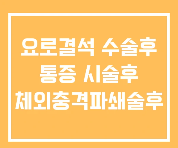 요로결석 수술후 통증 시술후 체외충격파쇄술후 요로결석 수술후 통증 시술후 체외충격파쇄술후
