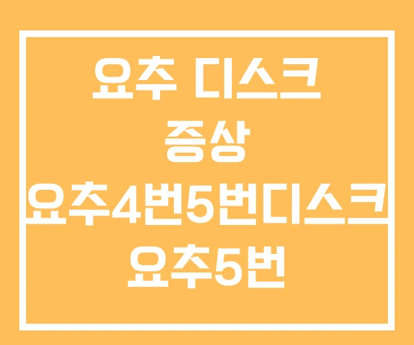 요추 디스크 증상 요추4번5번디스크 요추5번