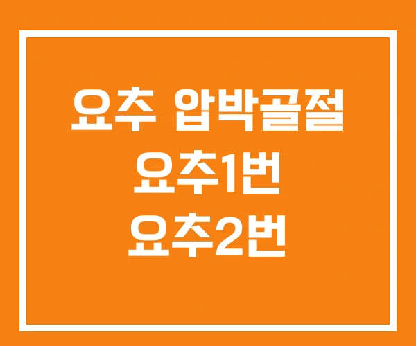 요추 압박골절 요추1번 요추2번 요추 압박골절 요추1번 요추2번