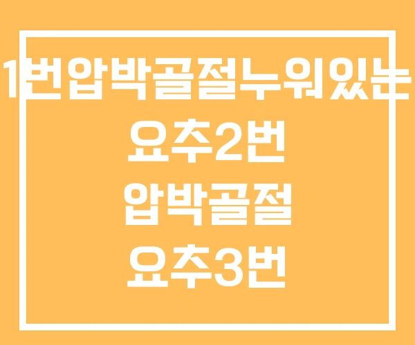 요추1번압박골절누워있는기간 요추2번 압박골절 요추3번 요추1번압박골절누워있는기간 요추2번 압박골절 요추3번