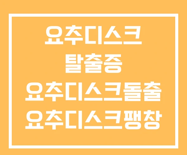 요추디스크 탈출증 요추디스크돌출 요추디스크팽창 요추디스크 탈출증 요추디스크돌출 요추디스크팽창