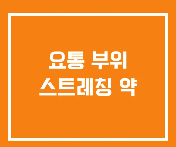 요통 부위 스트레칭 약 요통 부위 스트레칭 약