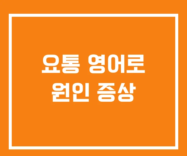 요통 영어로 원인 증상 요통 영어로 원인 증상