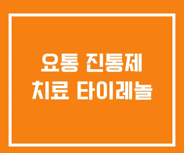 요통 진통제 치료 타이레놀 요통 진통제 치료 타이레놀