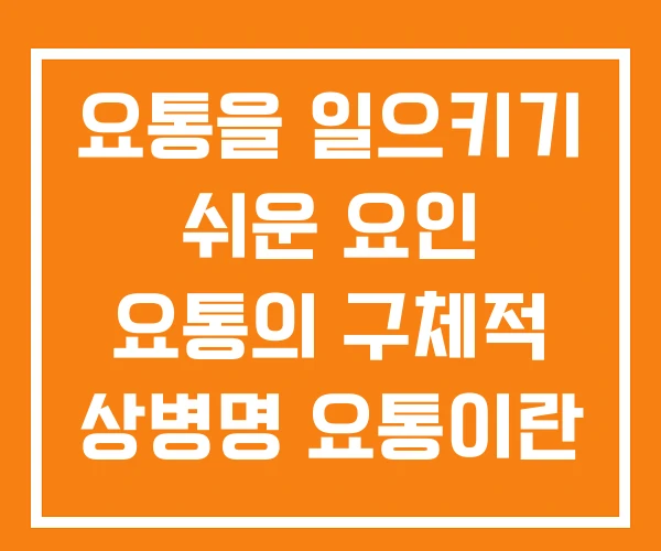 요통을 일으키기 쉬운 요인 요통의 구체적 상병명 요통이란 요통을 일으키기 쉬운 요인 요통의 구체적 상병명 요통이란