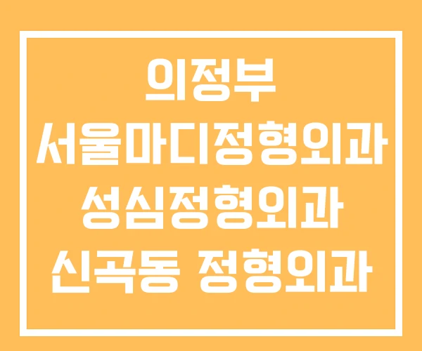 의정부 서울마디정형외과 성심정형외과 신곡동 정형외과