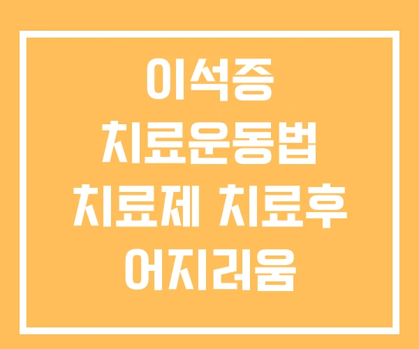 이석증 치료운동법 치료제 치료후 어지러움 이석증 치료운동법 치료제 치료후 어지러움