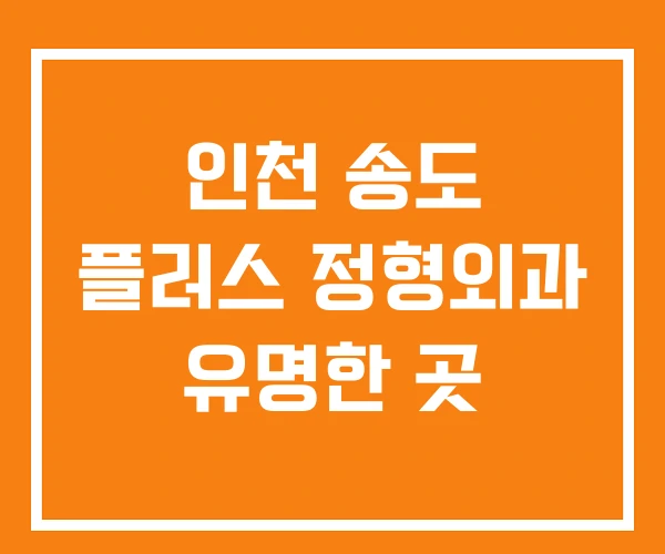 인천 송도 플러스 정형외과 유명한 곳 인천 송도 플러스 정형외과 유명한 곳