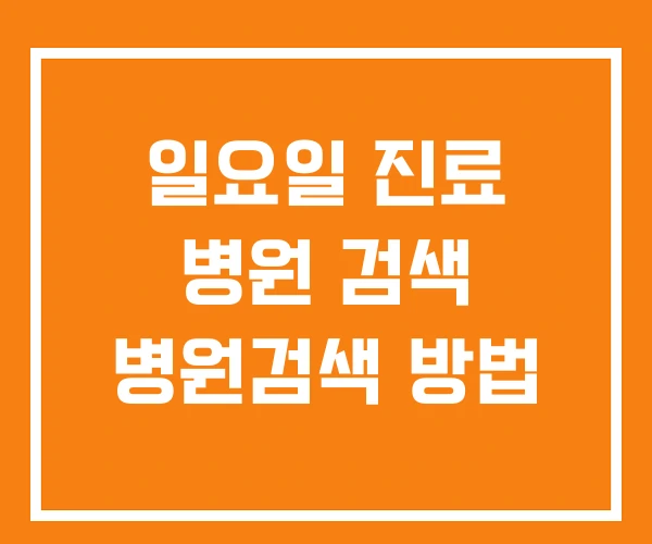 일요일 진료 병원 검색 병원검색 방법
