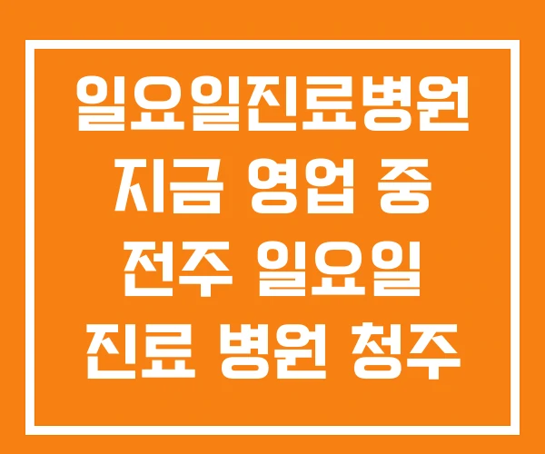 일요일진료병원 지금 영업 중 전주 일요일 진료 병원 청주 일요일진료병원 지금 영업 중 전주 일요일 진료 병원 청주
