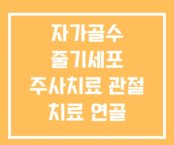 자가골수 줄기세포 주사치료 관절 치료 연골