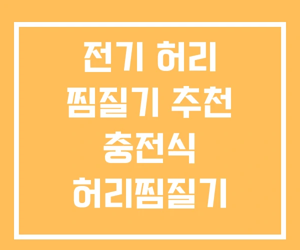 전기 허리 찜질기 추천 충전식 허리찜질기 전기 허리 찜질기 추천 충전식 허리찜질기