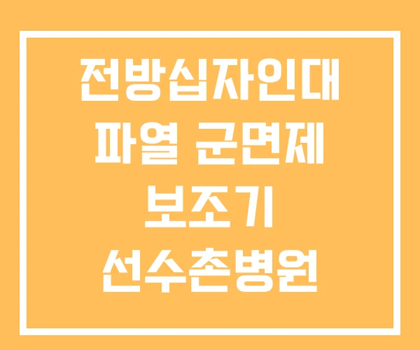 전방십자인대 파열 군면제 보조기 선수촌병원 전방십자인대 파열 군면제 보조기 선수촌병원