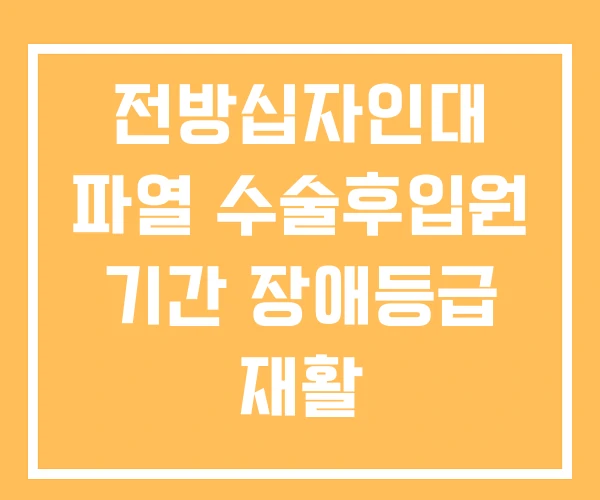 전방십자인대 파열 수술후입원 기간 장애등급 재활 전방십자인대 파열 수술후입원 기간 장애등급 재활