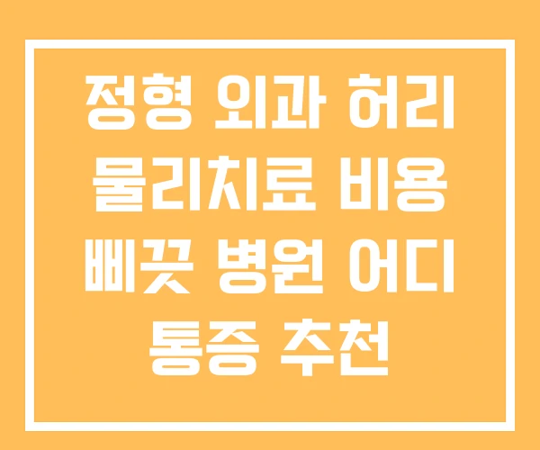 정형 외과 허리 물리치료 비용 삐끗 병원 어디 통증 추천 정형 외과 허리 물리치료 비용 삐끗 병원 어디 통증 추천