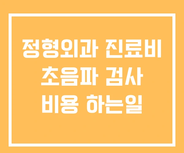 정형외과 진료비 초음파 검사 비용 하는일 정형외과 진료비 초음파 검사 비용 하는일