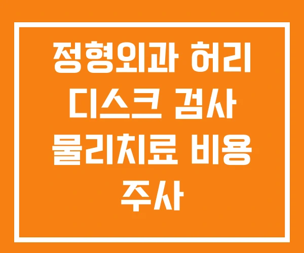 정형외과 허리 디스크 검사 물리치료 비용 주사